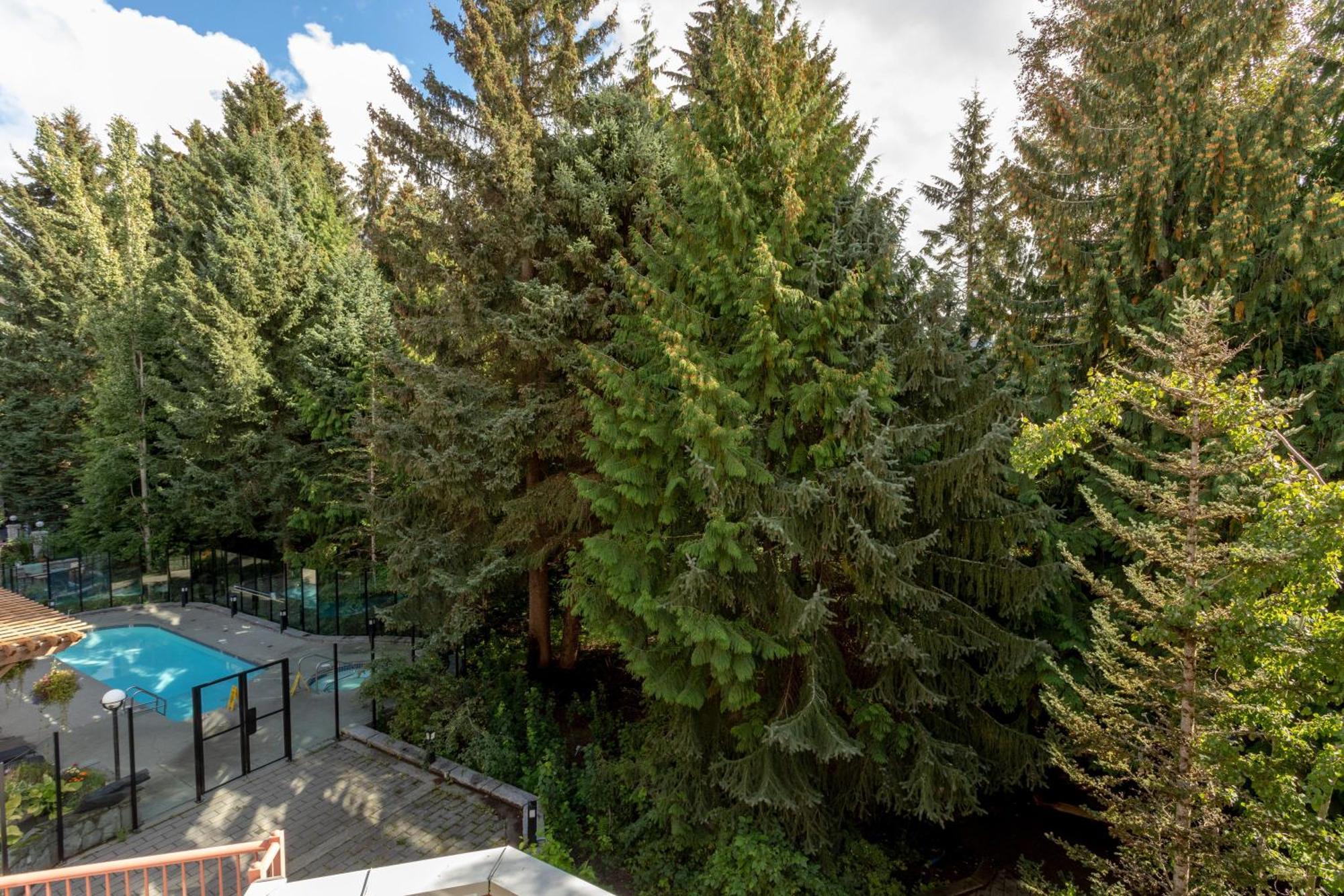 Alpenglow Lodge Bear Wonder One Bedroom By Mva Whistler Exterior photo